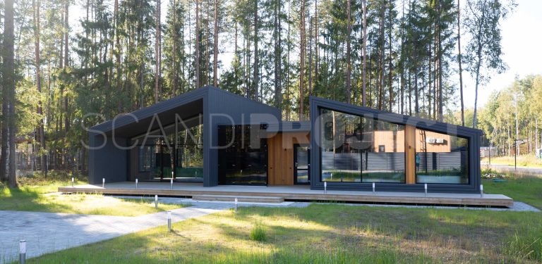 Проект М 5. современный одноэтажный дом с темным фасадом
